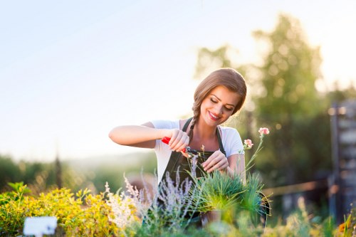 Seasonal lawn care tips for Soho residents